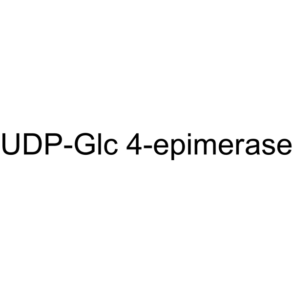 UDP-Glc 4-epimerase (GalE)